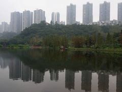 -重庆彩云湖湿地公园