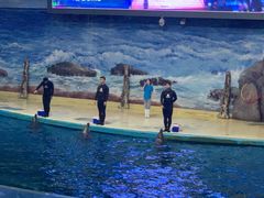 -福州罗源湾海洋世界旅游区