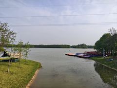 -上海海湾国家森林公园