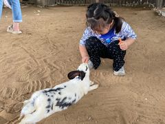 -秦皇岛野生动物园