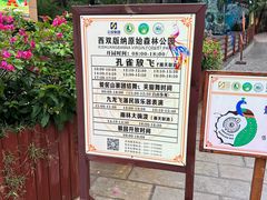 -西双版纳原始森林公园