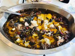 -鑫巴蜀小镇 · 水煮鱼专研店(玉桥店)