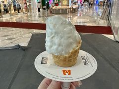 -野人先生Gelato(上海长宁龙之梦店)
