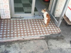 -大澳