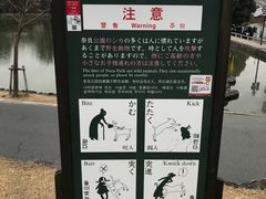 -奈良公园