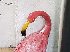 -拾壹cafe·工作室