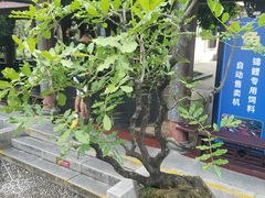 -惠州西湖风景名胜区-丰渚园