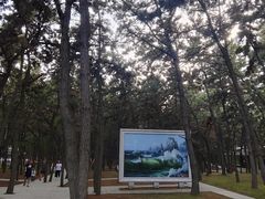-林海公园