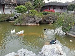 庭院-祝家花園(伯渎港店)
