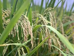 -西宁市人民公园(城西区)