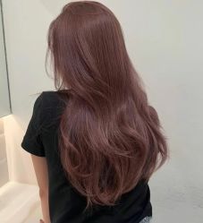 -六道沙龙