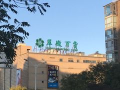 -盒马鲜生(大成店)