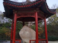 -元大都城垣遗址公园