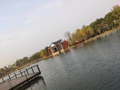 -映月湖公园