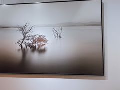 -收获咖啡HARVEST RESERVE(苍山店)