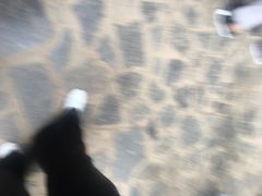 -武隆天坑地缝国家地质公园