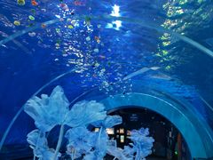 -海合安青岛极地海洋公园