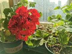 -郑贵初烧烤·烤凤爪的发明者(王家湾店)