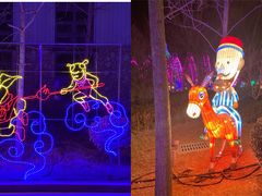 -南宫五洲植物乐园