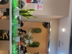 -嘉和一品粥(魏公村店)