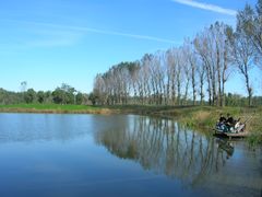 -汉石桥湿地公园