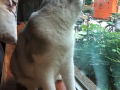 -咖法森林·咖啡  酒吧(天河店)