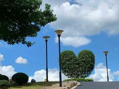 -东莞植物园