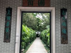 -广州兰圃