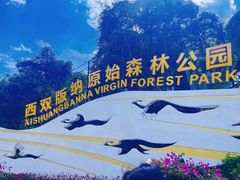 -西双版纳原始森林公园