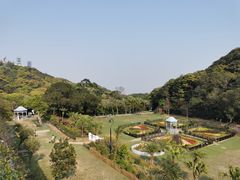 -太平山顶