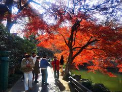 -虞山风景区