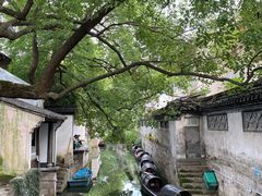 -高老太奶油小攀(新建南路店)