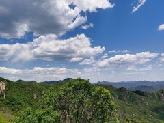 -大岭沟猕猴桃谷风景区