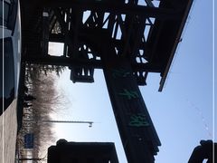 -绿堤公园