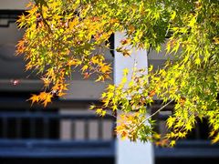 -中国湖笔博物馆(莲花庄路)