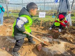 -京师双语幼儿园