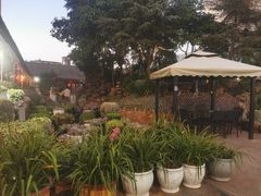-山菌美食苑(振兴路店)