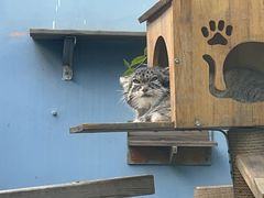 -青藏高原野生动物园