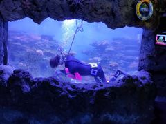 -锦艺城海洋馆