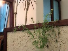 -肥朵食堂(带梦胡同店)