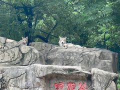 -常州淹城野生动物世界