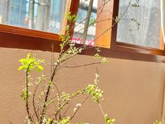 -Ginko银子(青龙街店)