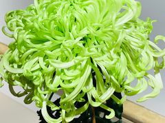 -汇龙潭