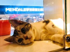 -乐宠宠物店(世纪金源店)