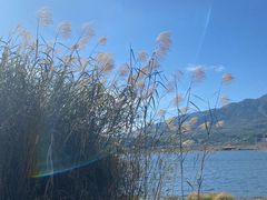 -腾冲北海湿地