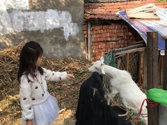 -乡乐园蟹庄·阳澄湖农家乐