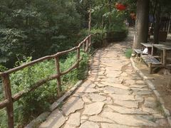-井塘古村
