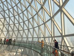 -陕西自然博物馆