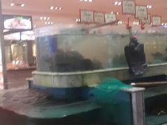 -盆满钵满·国家非遗传承(云台店)