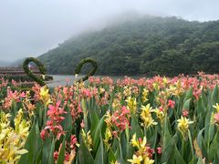 -广州市石门国家森林公园